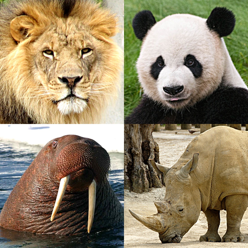 Animals Quiz - Mammals in Zoo app icon
