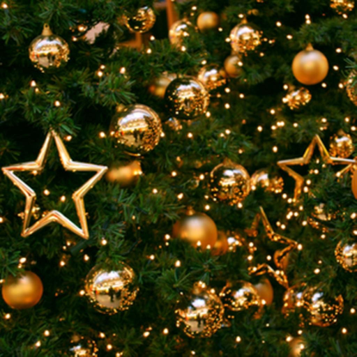 New Year - party,wallpapers,fun,fireworks,show,eve app icon