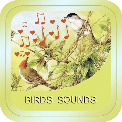 Bird Soundx app icon
