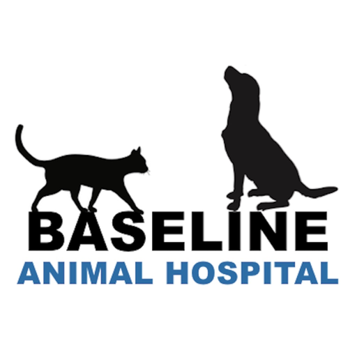 Baseline Animal Hospital app icon