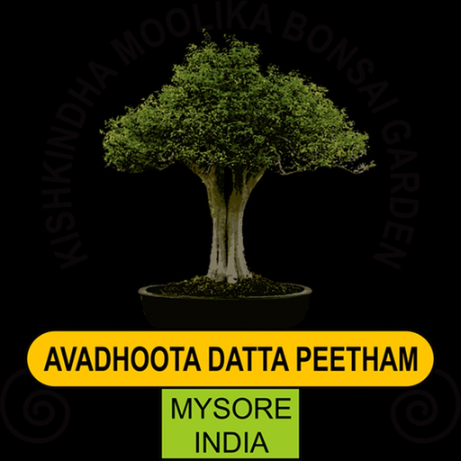 SGSBonsai app icon