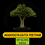 SGSBonsai icon