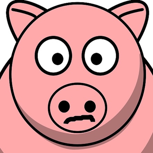 Piggy Plane app icon