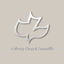 Calvary Chapel Farmville icon