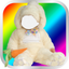 Baby Animal Photo Montage icon
