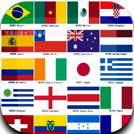 Country Matching Game-Brainstorm app icon