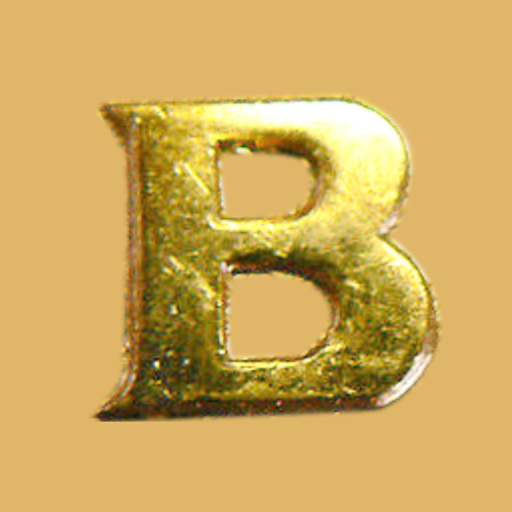 Bullion Spot Live - All India app icon