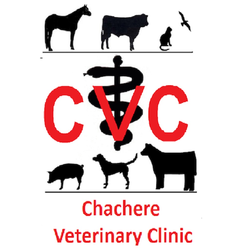 Chachere Vet app icon