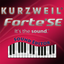 Forte SE Sound Editor icon