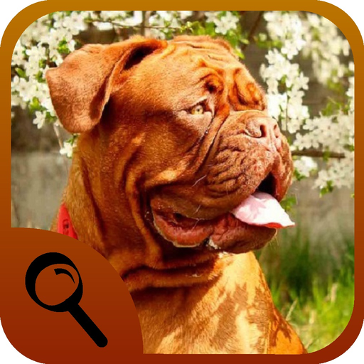 Spot the Differences - Animals app icon