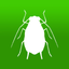 BugFinder icon