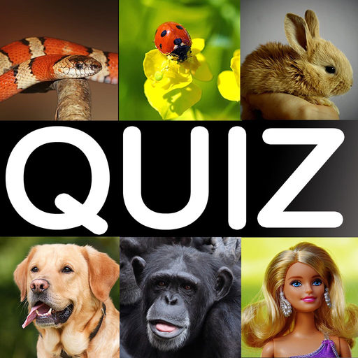 What is it? the funny picture quiz game! app icon