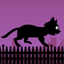 Black Cat Run icon