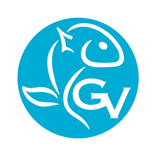 Grupo Videla Messenger app icon