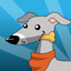 GalGo! icon