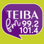 Teiba FM icon
