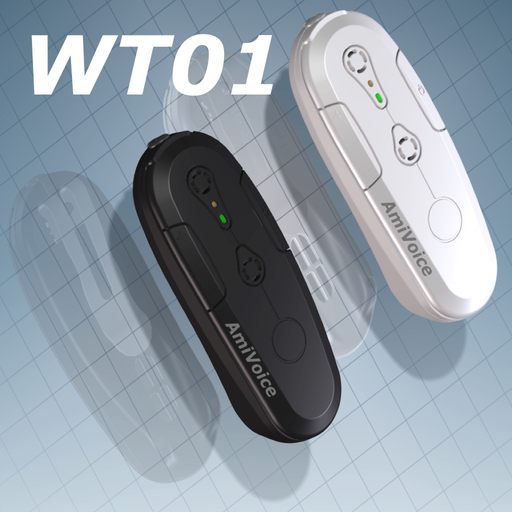WT01設定 app icon