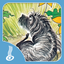 Kia Taurite / Hairy Maclary Matching Pairs icon