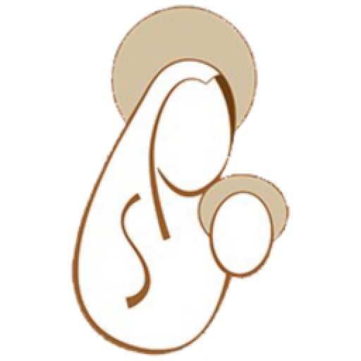 NSPSocorro app icon