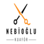 Nebioglukuafor.com icon