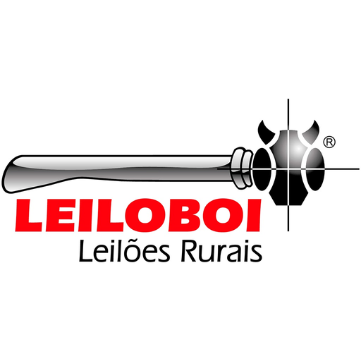 LeiloBoi app icon