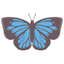 Pop and chic butterfly sticker icon