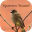 Sparrow Sounds - Free Sounds icon