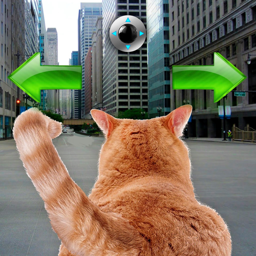 Cat In City Go Simulator app icon