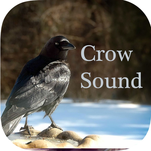Crow Sounds – Crow Call Sound app icon