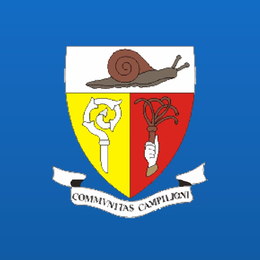 MyCampioneD'Italia app icon