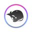 HeyOrca icon