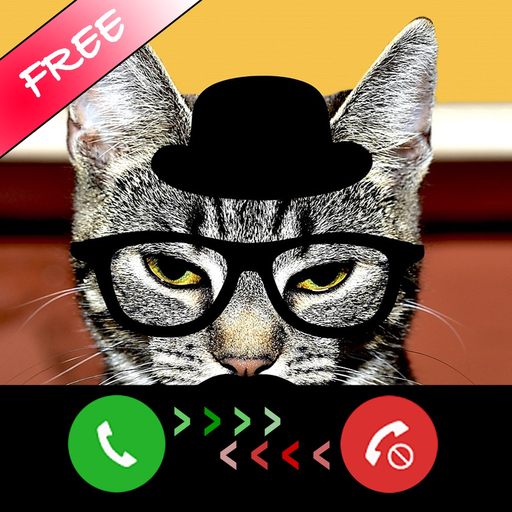 Kitty Cat Fake Phone Call - Birthday Surprise app icon
