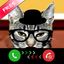 Kitty Cat Fake Phone Call - Birthday Surprise icon