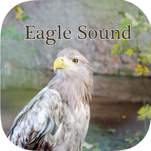 Eagle sounds – Bald Sound app icon