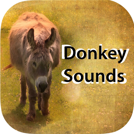 Donkey Sounds - Funny Sounds app icon