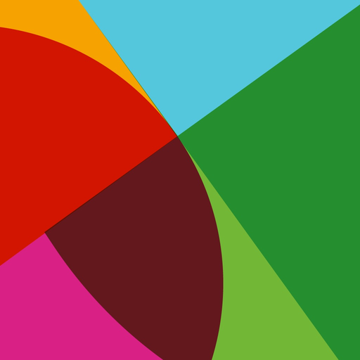 DSGo app icon