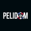 Pelidom TV icon