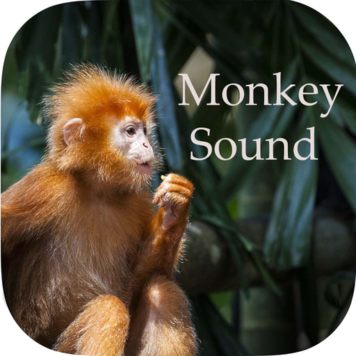 Monkey Sounds - Funny Sounds for kid app icon