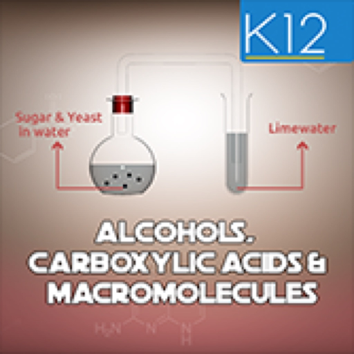 Alcohols & Carboxylic Acids app icon