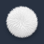 Shepper icon