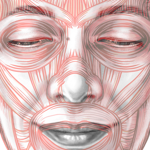ARTNATOMYA (in english) app icon