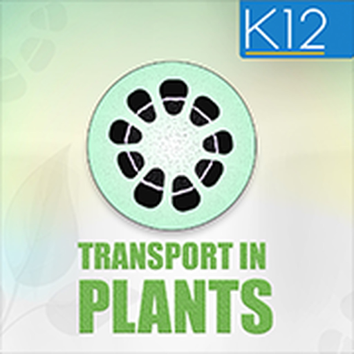 Transport in Plants Biology app icon