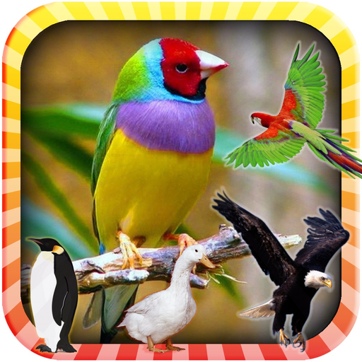 Learn the Birds Phonetic app icon