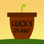 LUCKY PLANT - Change your luck! icon