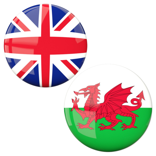 English to Welsh Translator app icon