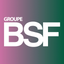 Groupe BSF icon