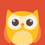 Cute Cartoon Owl icon