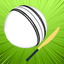 Bat & Ball icon