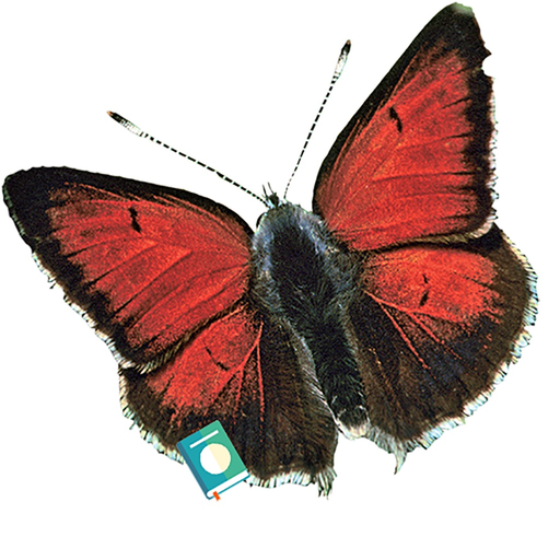 Butterflies of Greece The Book app icon