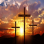 Trinity Lutheran Enumclaw icon